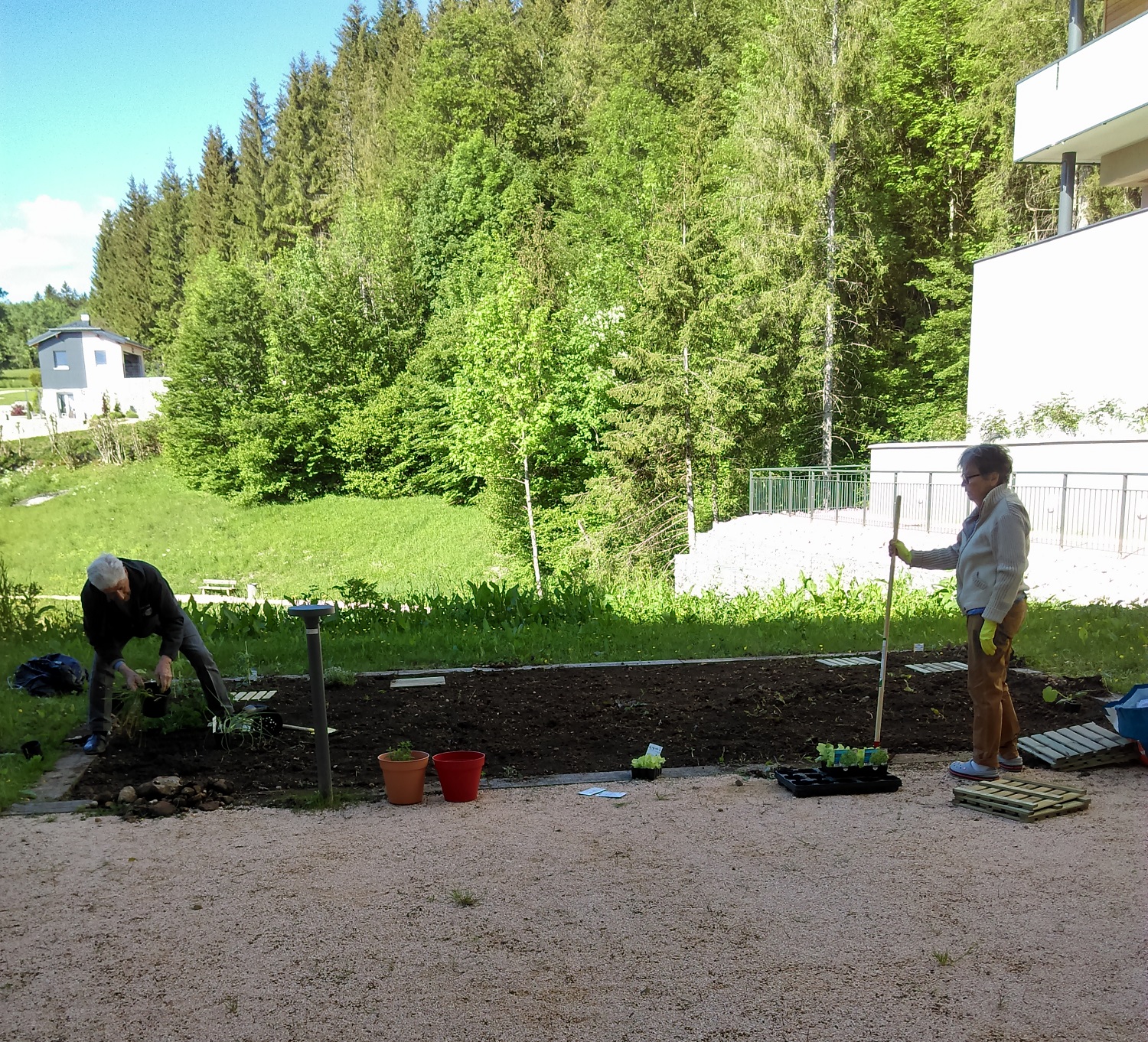 Potager morbier
