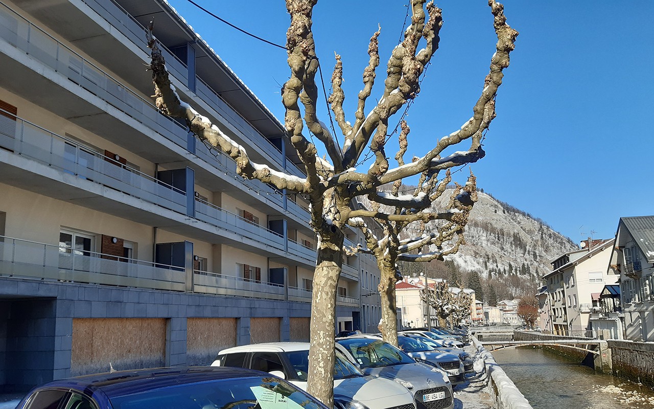 Quai Jobez en bord de Bienne